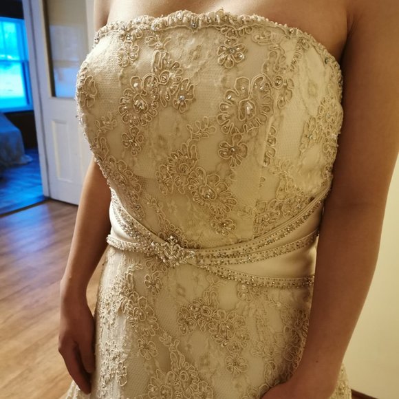 Alfred Sung Wedding Dress Size 4 - Picture 5 of 11